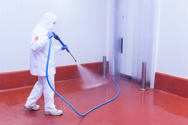 Best Solar Panel Cleaning  in Liberty Corner, NJ